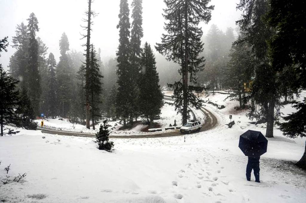 Snowfall in Srinagar and Gulmarg Cold in Kashmir Tourists enjoy snowfall